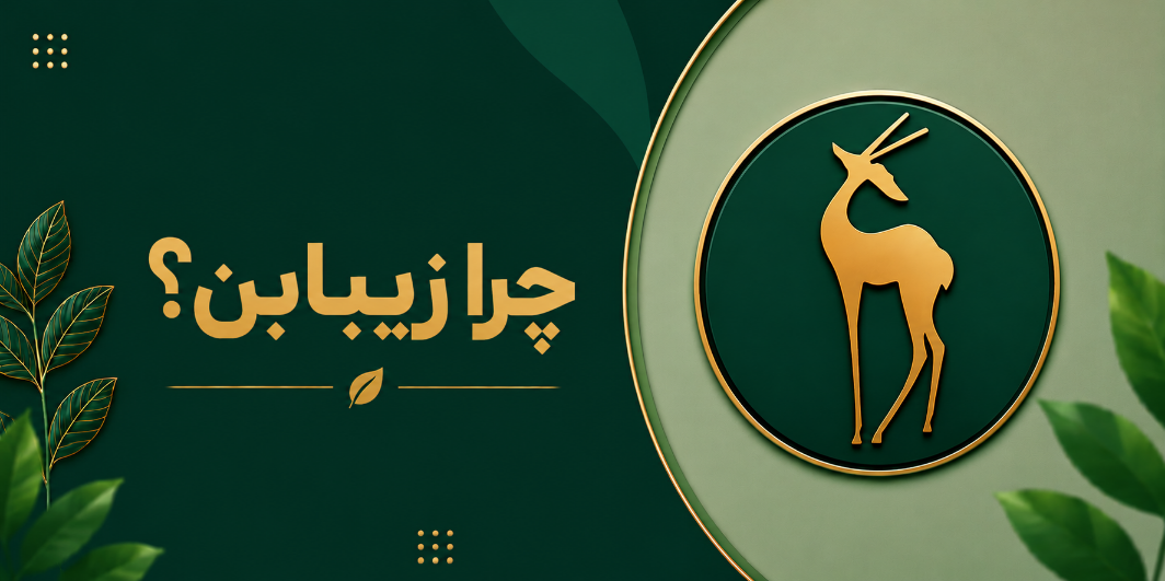 درباره ما