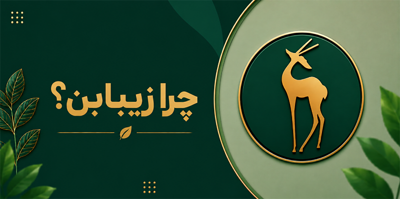 درباره ما
